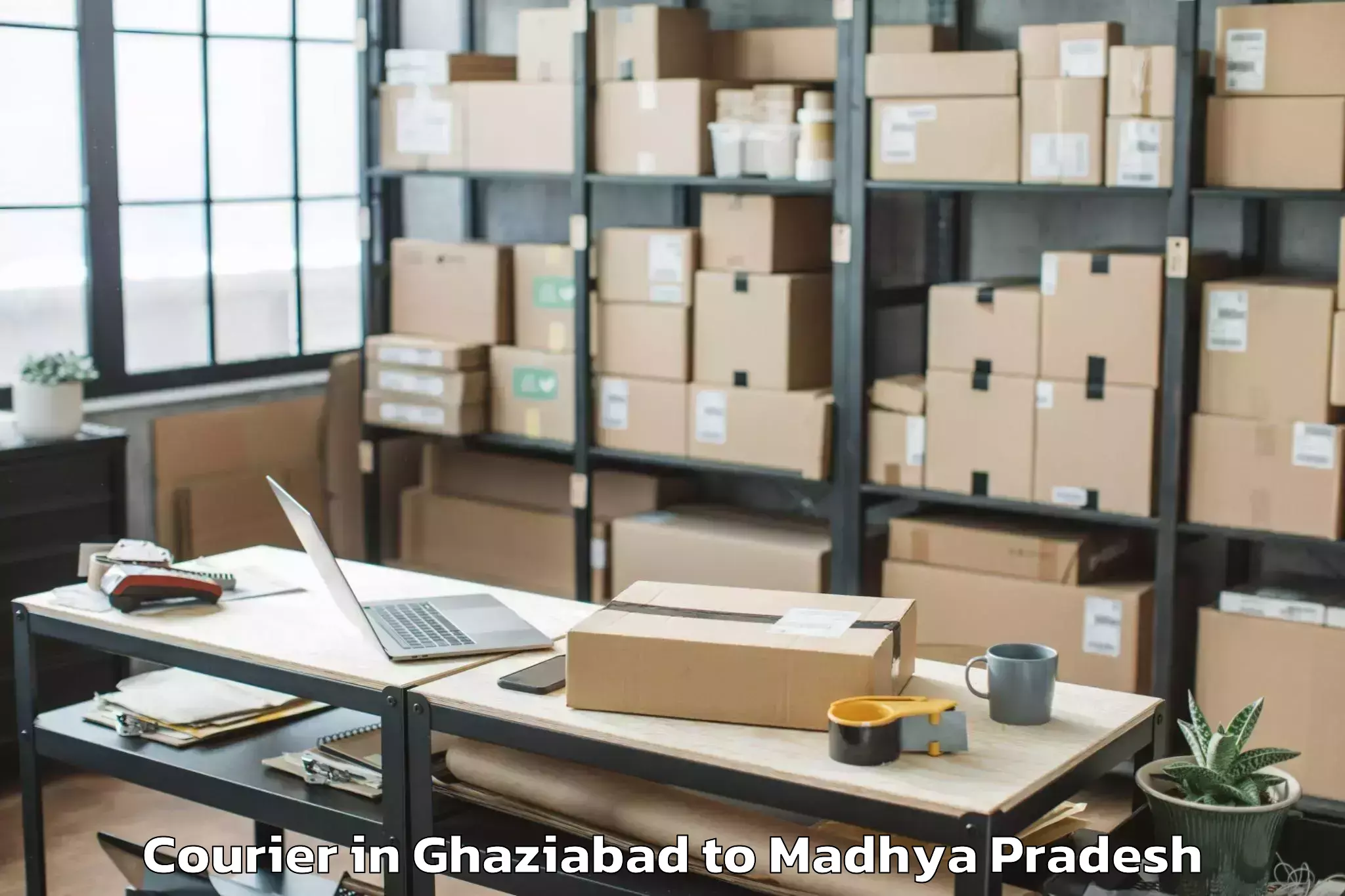 Book Ghaziabad to Madhyanchal Professional Unive Courier Online